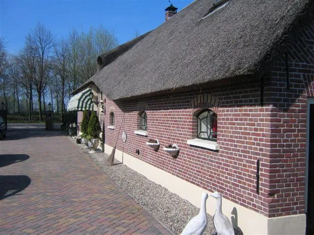 Woning met rieten dak